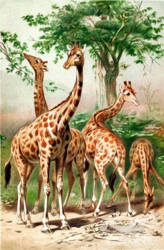 animales jirafa Pinturas al óleo